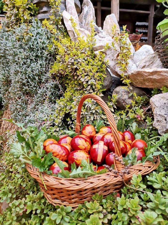 Pensiunea Rustic Oncesti Eksteriør bilde