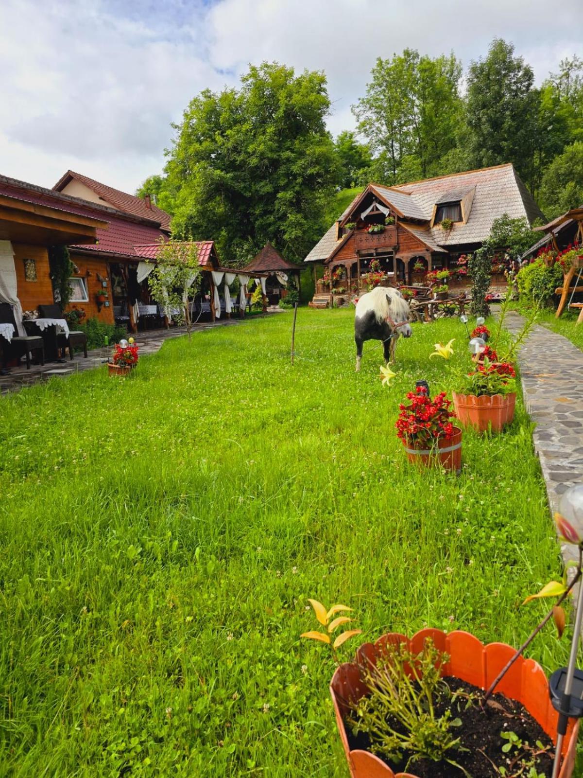 Pensiunea Rustic Oncesti Eksteriør bilde